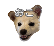 828864679