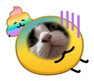 828887579