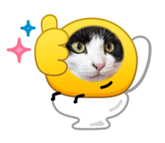 828887584