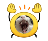 828887586