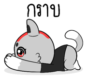 828890904