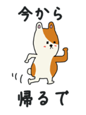 8288956