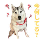 828907732