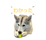 828907735