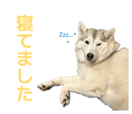828907738