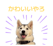 828907742