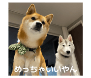 828907744