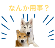 828907746