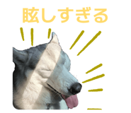 828907750