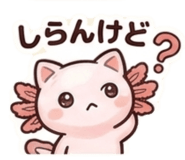 828913558