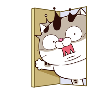 ลายที่ 5