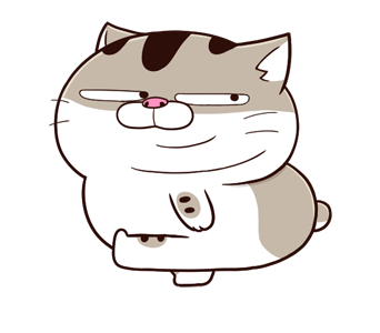 ลายที่ 11