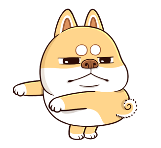 ลายที่ 13