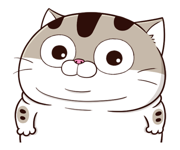 ลายที่ 17