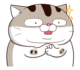 ลายที่ 41