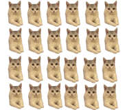 828925555