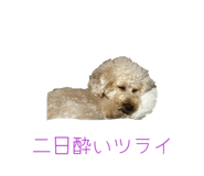 828936371