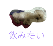 828936374