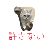 828936385