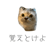 828936386