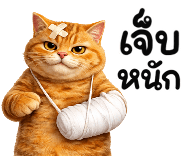 ลายที่ 11