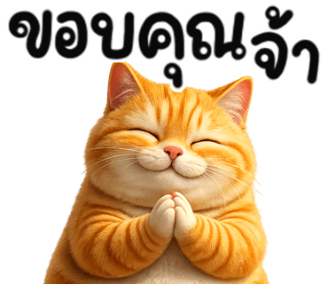 ลายที่ 17