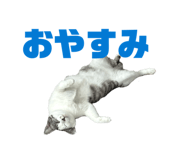 828958113