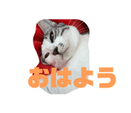 828958116