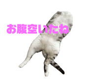 828958123