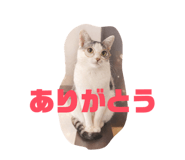 828958128