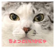 828958133