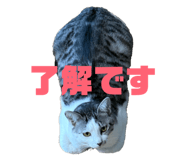 828958137