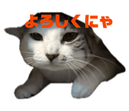 828958142