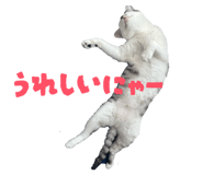 828958150