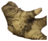 828960434