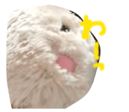 828960540