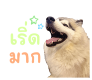 828975899