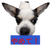 828978596
