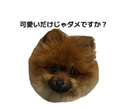 828981473
