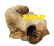 828981478