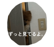828981481