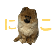 828981485