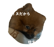 828981488