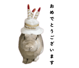 828981548