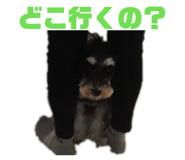 828982512
