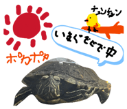 828990675
