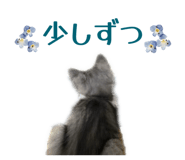 828990693