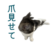 828990697