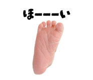 829004240