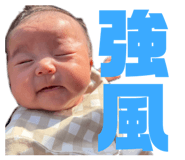 829005884